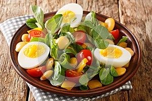 Serving salad of lupine beans, boiled eggs, tomatoes and feldsalat close-up in a plate. horizontal