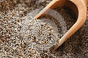 Serving spoon with many dried flowers of lavender