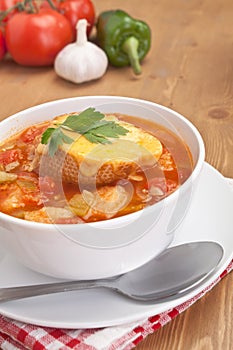 Serving of tasty vegetable and bread soup