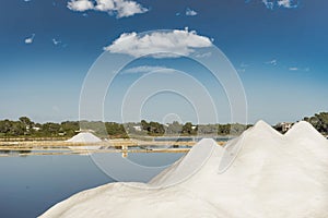 Ses salines in colonia sant jordi