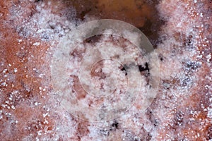 Ses Salines Formentera saltworks salt texture photo