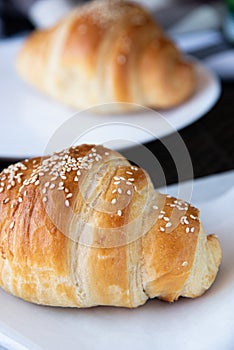 Homemade plain Croissant with sesame seeds photo