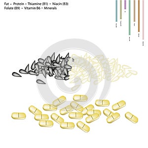Sesame with Fat, Protein, Vitamin B and Minerals