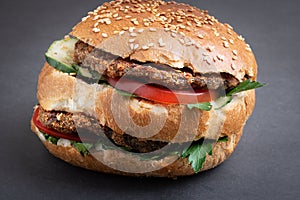 Sesame Hamburger with Lettuce and Cheese and vegetables