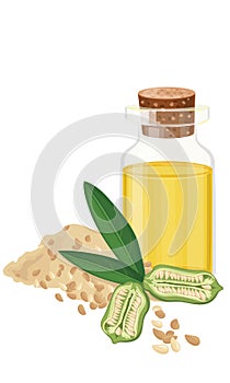 Sesame Oil, seeds, fruit, leaf, Vecctor illustration