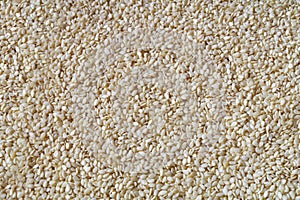 Sesame Seed background - texture of seeds