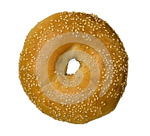 Sesame Seed Bagel Against White