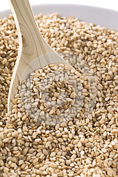 Sesame Seeds