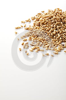 Sezam semená 