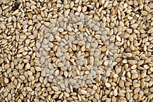 Sesame Seeds photo