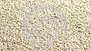 Sesame seeds