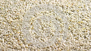 Sesame seeds