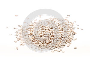 Sesame Seeds photo