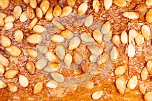 Sesame seeds on a brown crust of bread