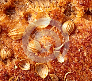 Sesame seeds on the crust of bread. Macro