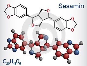 Sesamin molecule. It is natural product, lignan isolated from sesame oil. Structural chemical formula and molecule model