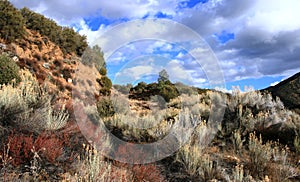 Sespe Wilderness