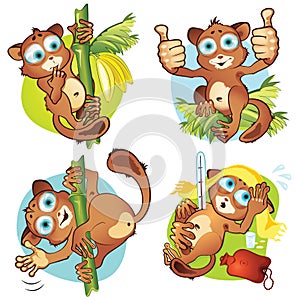 A set 1 of monkeys tarsiers