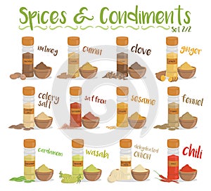 Set of 12 different culinary species and condiments in cartoon style. Set 2 of 2. Vector Illustration