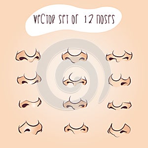 Set of 12 noses