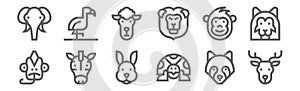 Set of 12 wildlife icons. outline thin line icons such as deer, turtle, zebra, monkey, sheep, flamingo