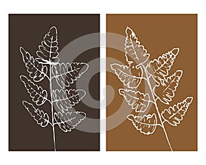 Set of 2 Botanical wall art.