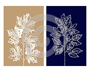 Set of 2 Botanical wall art.