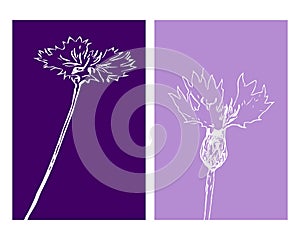 Set of 2 Botanical wall art