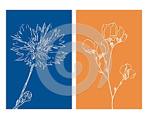 Set of 2 Botanical wall art