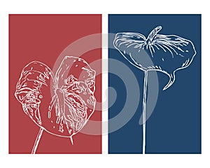 Set of 2 Botanical wall art