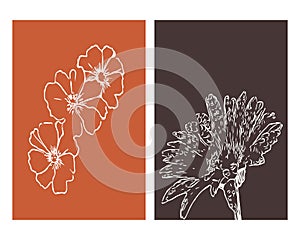 Set of 2 Botanical wall art