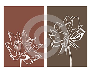 Set of 2 Botanical wall art