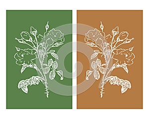 Set of 2 Botanical wall art