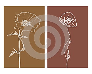 Set of 2 Botanical wall art