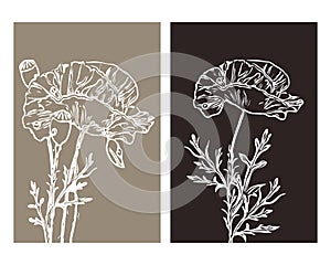 Set of 2 Botanical wall art