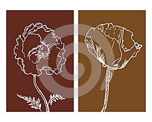 Set of 2 Botanical wall art