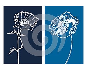 Set of 2 Botanical wall art