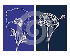 Set of 2 Botanical wall art