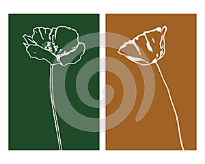 Set of 2 Botanical wall art