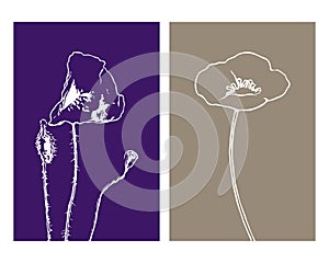 Set of 2 Botanical wall art