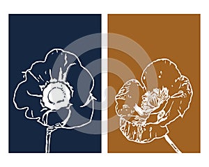 Set of 2 Botanical wall art