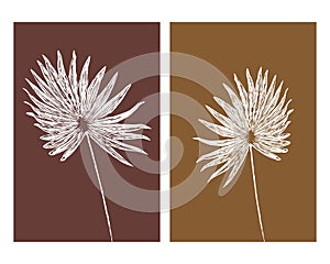 Set of 2 Botanical wall art