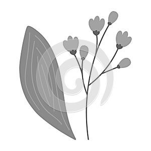 Set of 2 design elements of flowering twig and spathiphyllum leaf in grayscale. Sticker. Icon. Logo