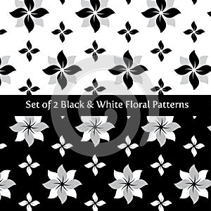 Set of 2 Floral Black