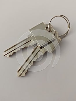 A set of 2 keys on a key ring on a white background