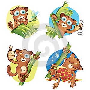 A set 2 of monkeys tarsiers