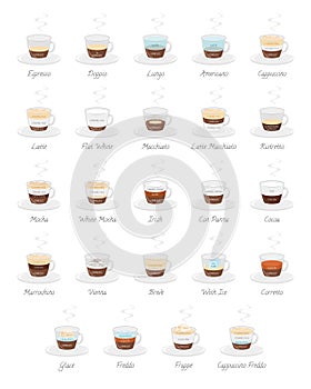 Set of 24 Coffee Types in cartoon style Vector Illustration