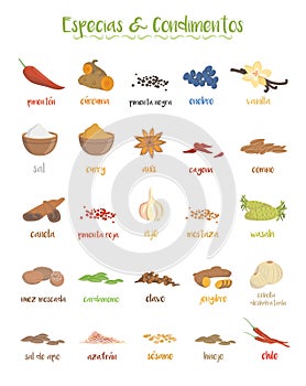 Set of 25 different culinary species and coniments in cartoon style. Spanish names.