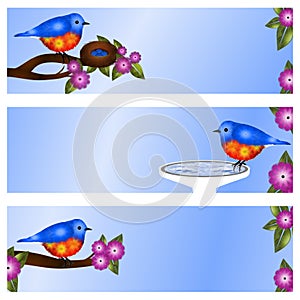 Set of 3 Bluebird Address Labels or Banners