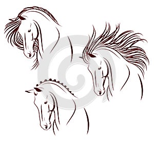 Set of 3 horse heads